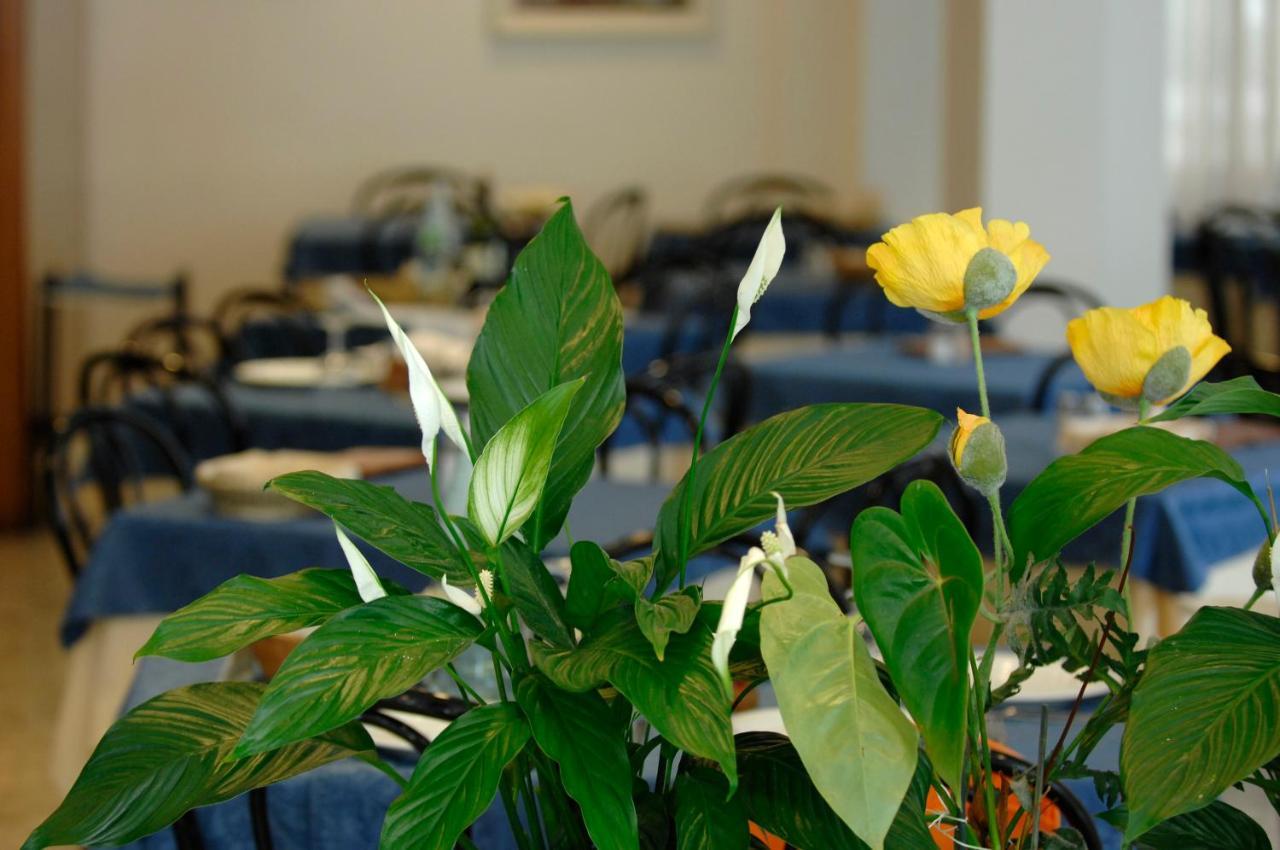 קאטוליקה Hotel Sorriso מראה חיצוני תמונה